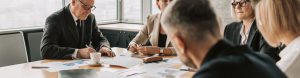 Trustee or NED Profile